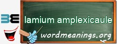 WordMeaning blackboard for lamium amplexicaule